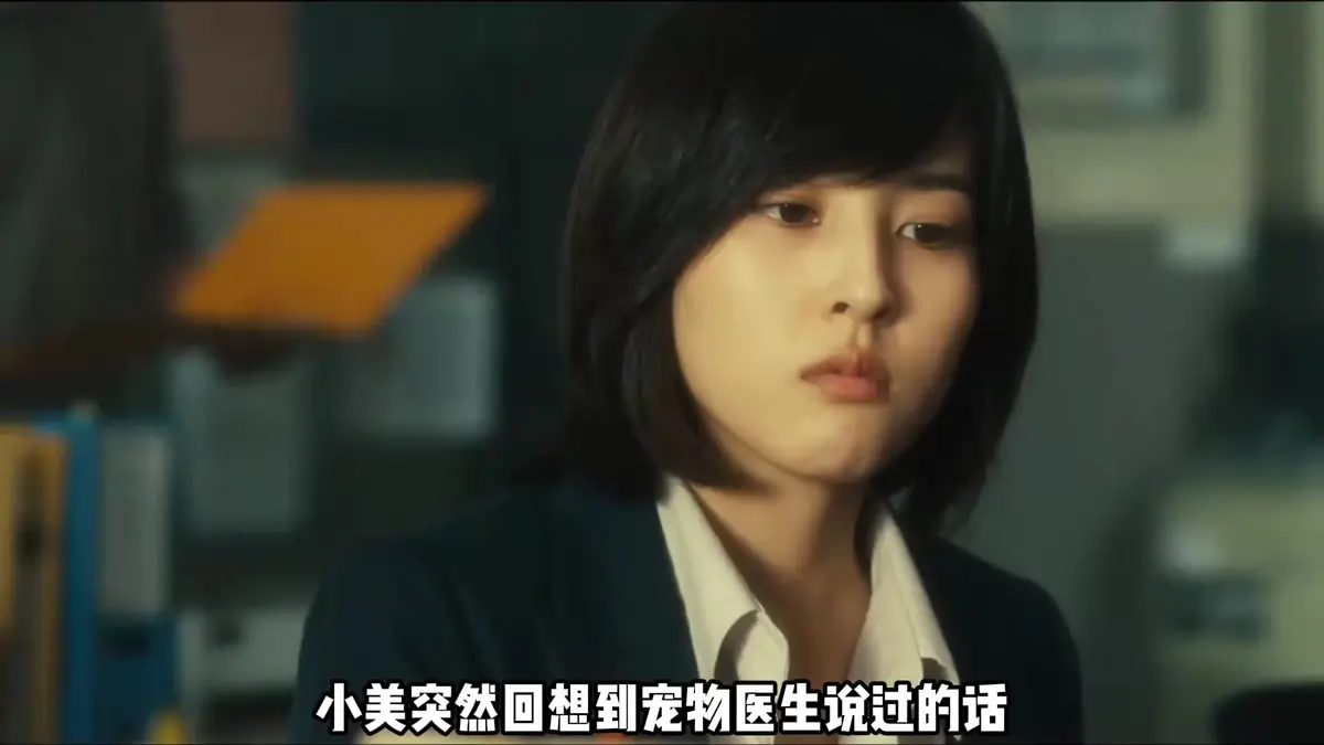 《不可饶恕》相关资源图片