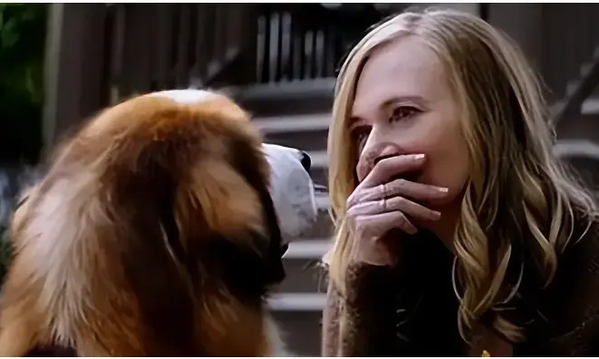 免费观看《女人与狗》HD 1080P超清未删减版-《女人与狗》全集高清在线播放-无广告流畅体验