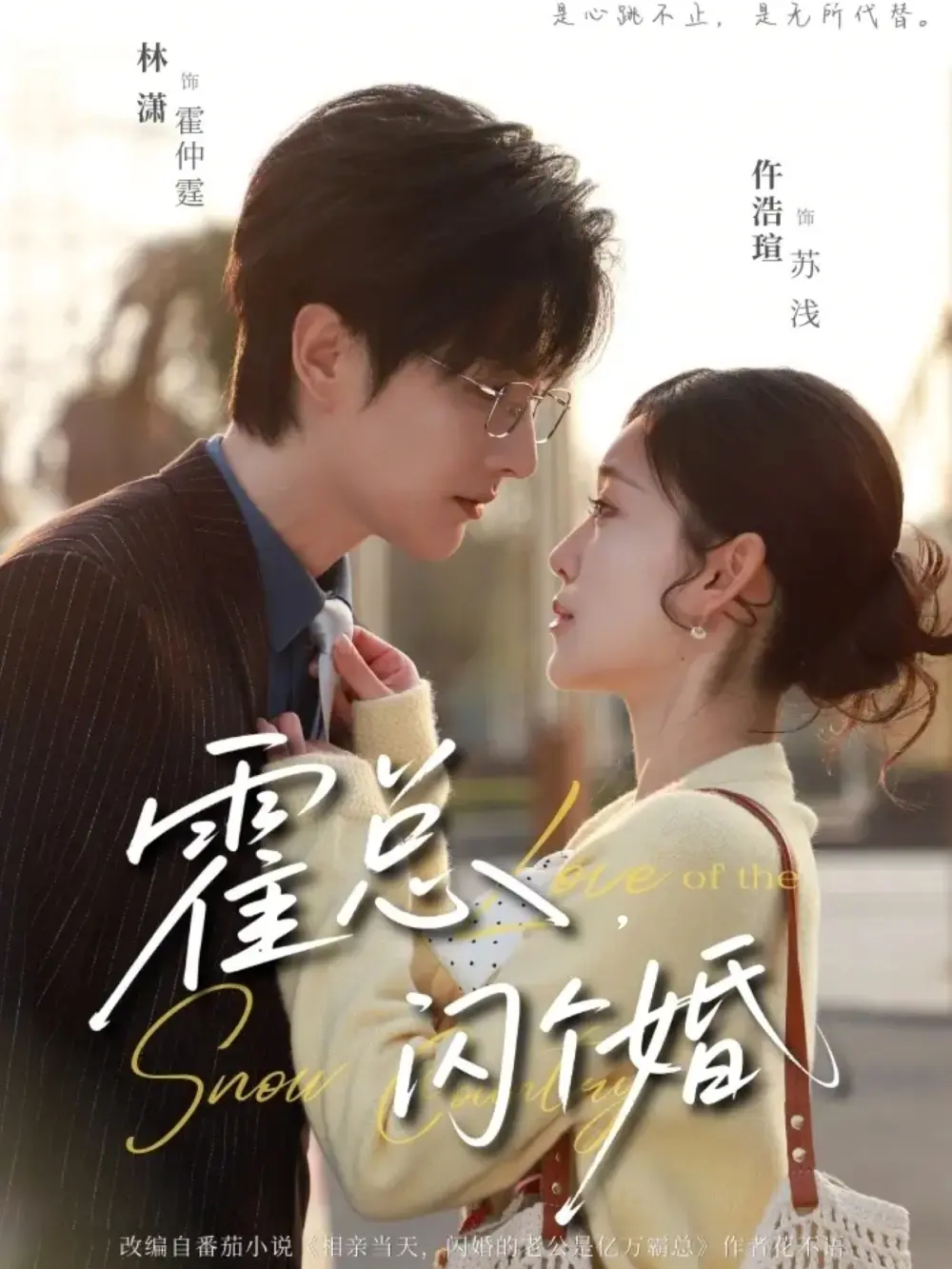 《霍总，闪个婚》全86集完整版免费看 - 林潇仵浩碹主演高清无删减播放 - 霍总闪个婚短剧全集网盘资源分享