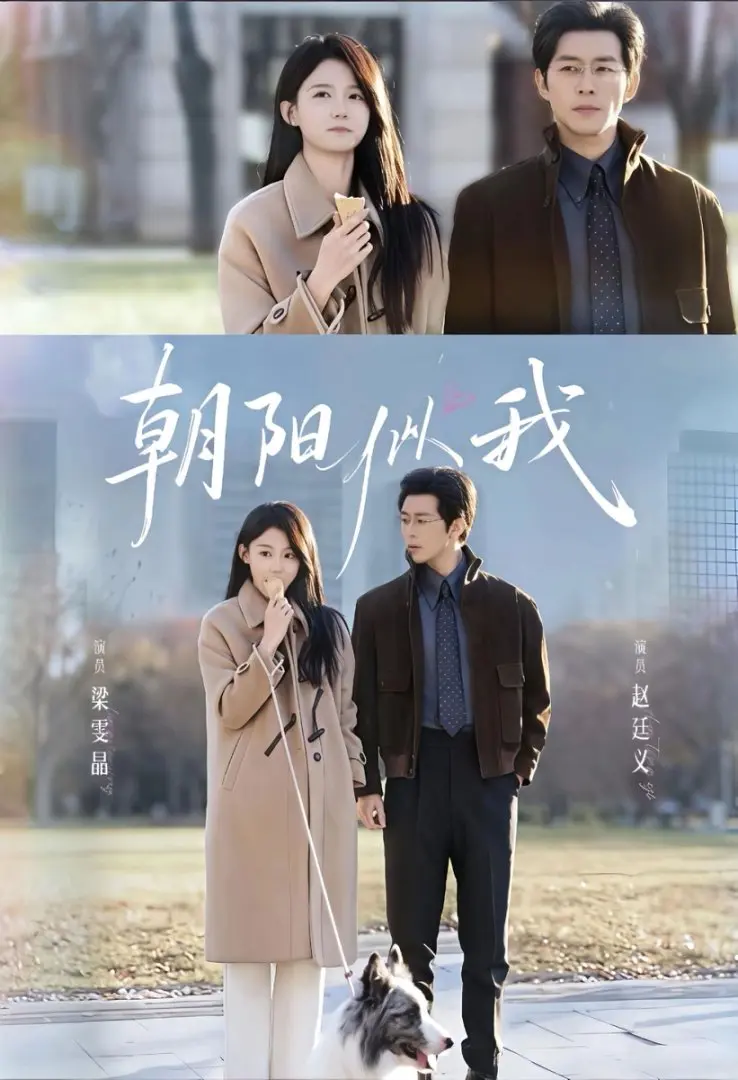 《朝阳似我》全81集无广告播放 - 赵廷义梁雯晶主演短剧 - 百度网盘资源免费在线观看