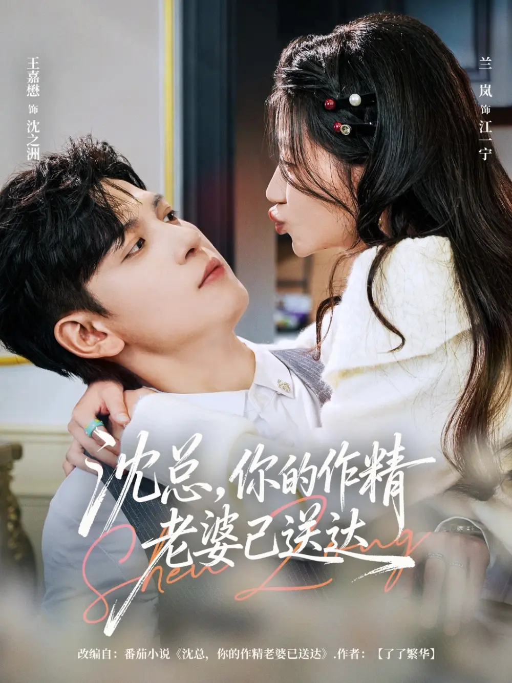 《沈总与作精老婆》相关资源图片