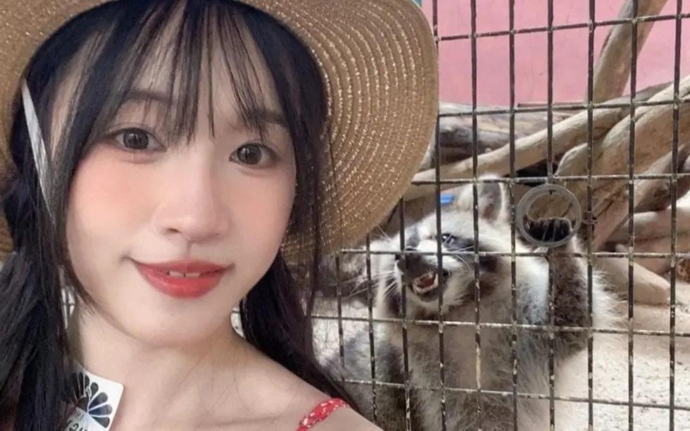 《苏畅》高清版全集免费观看-苏畅在线播放1080P无删减-国产女神苏畅电视剧全集资源