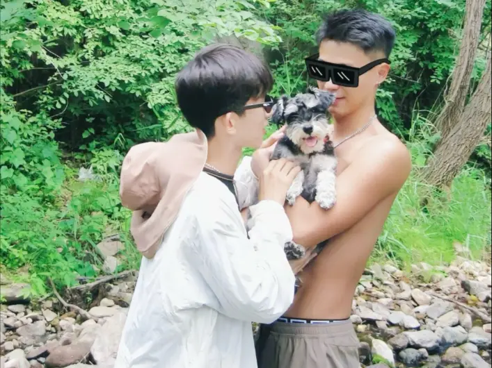 《昆廷夫夫日常合集》全季资源-昆廷夫夫日常合集1080P超清播放-无广告畅看完整未删减内容