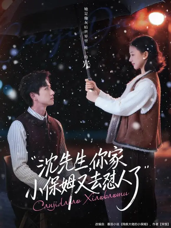 《沈先生你家小保姆又去怼人了》相关资源图片