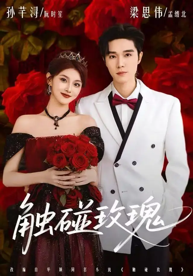 《触碰玫瑰》全季无广告免费播放-1080P高清画质无删减版在线看-《触碰玫瑰》全网同步更新多平台资源