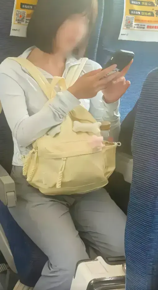 高铁短发女孩原视频完整版资源-高铁上的妹子54秒视频播放-高铁妹子是什么梗来龙去脉-网盘资源后续更新下载