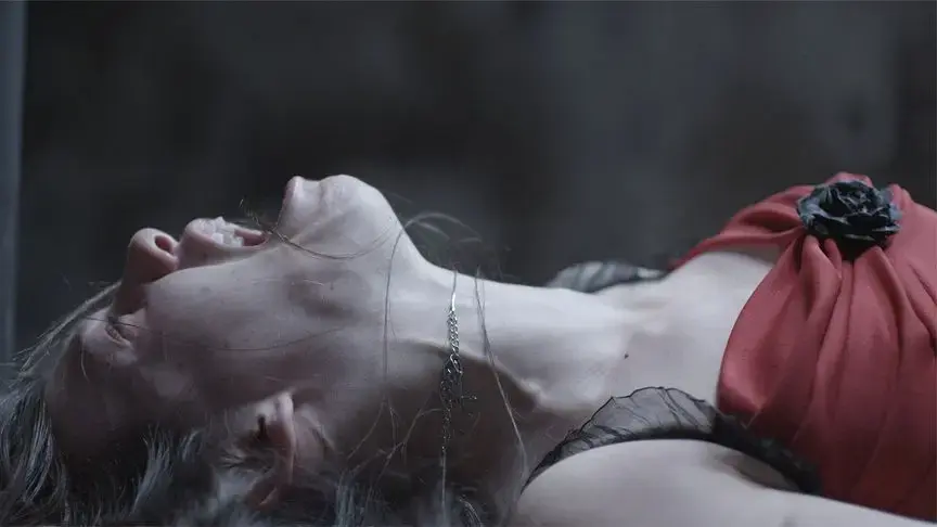 《我在缅北开火车》短剧全季免费播-4K超清完整版在线看-国语中字无删减-满天星系列高清资源