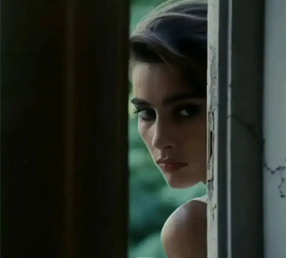 《激情丛林》1080P超清画质播放-激情丛林未删减版全集免费在线看-意大利电影激情丛林精彩故事无广告