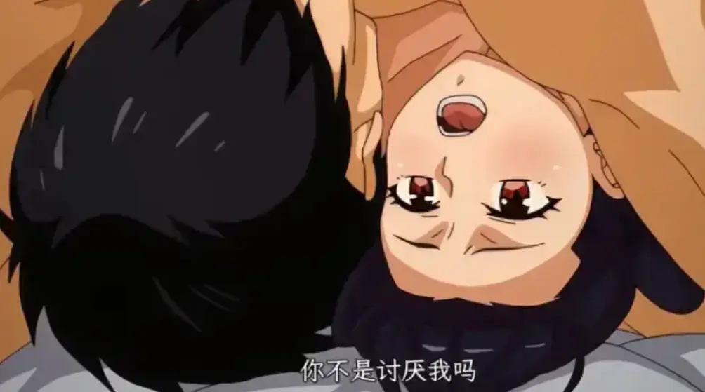 虽然不是自己的菜与讨厌姐姐的超契合 - 1-12集完整版HD资源在线看 - 樱花动漫同步更新网盘资源下载