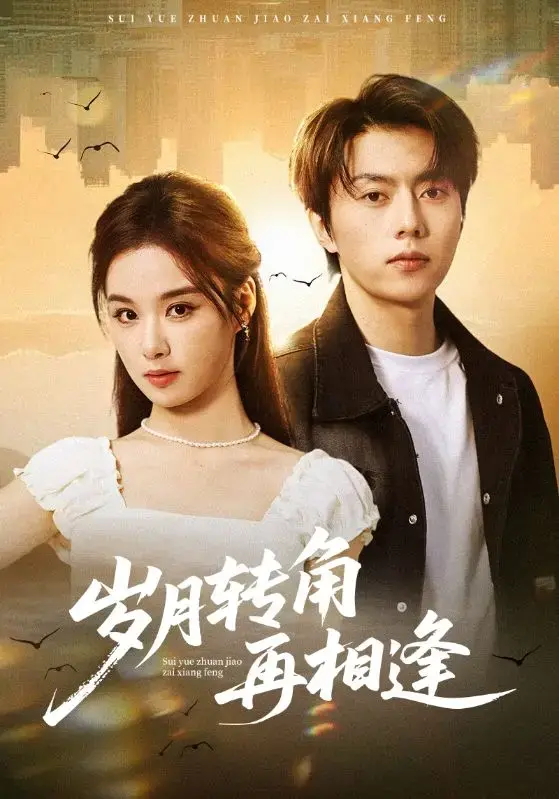 《岁月转角再相逢》全集免费在线观看-都市情感短剧高清1080P播放-张磊王宇婧领衔无删减版