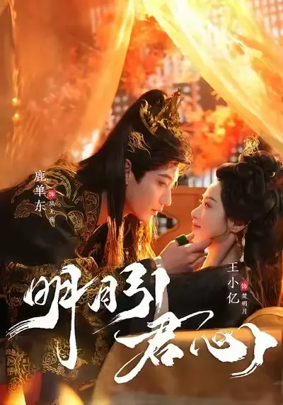 《明月引君心》全集在线观看-1080P高清画质播放无删减版-《明月引君心》免费观看无广告-迅雷网盘+