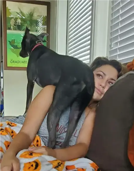 《女人与狗》1080P高清中字完整版-欧美电影女人与狗无删减在线看-网盘资源下载通道