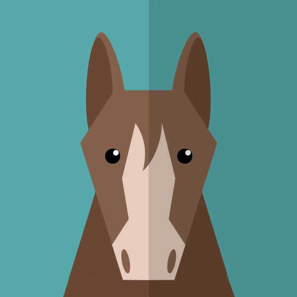 《不忠》韩国电影高清免费观看-不忠未删减版HD完整版在线播放-不忠1080P无广告全网同步更新